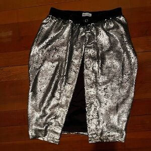 Zara Sequin Skirt